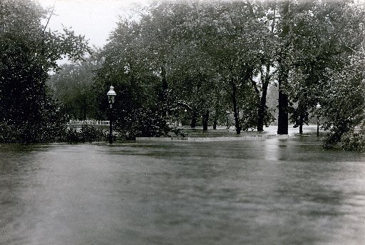 Flooding in Forest Park